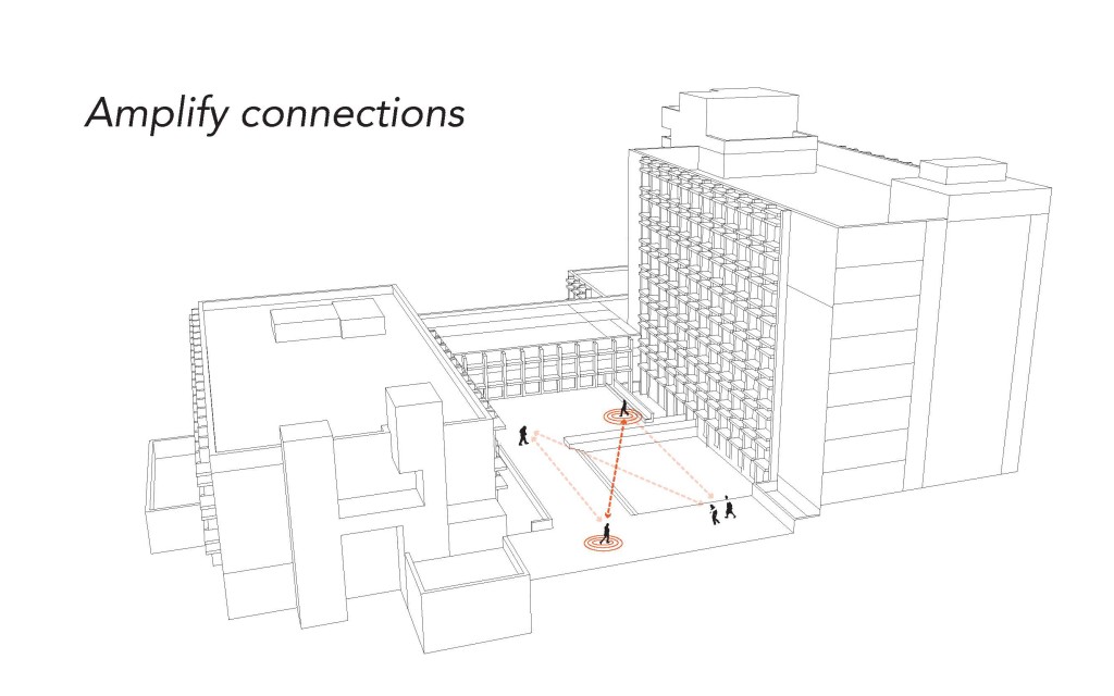 Amplify Connections